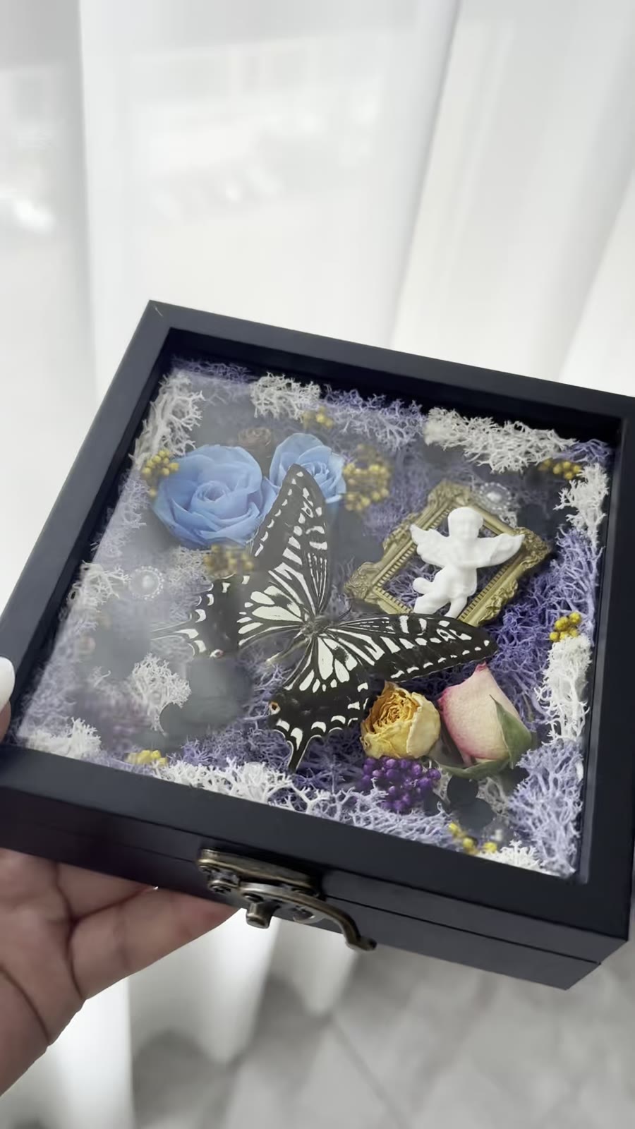 Butterfly Diorama Display Box with Purple Moss