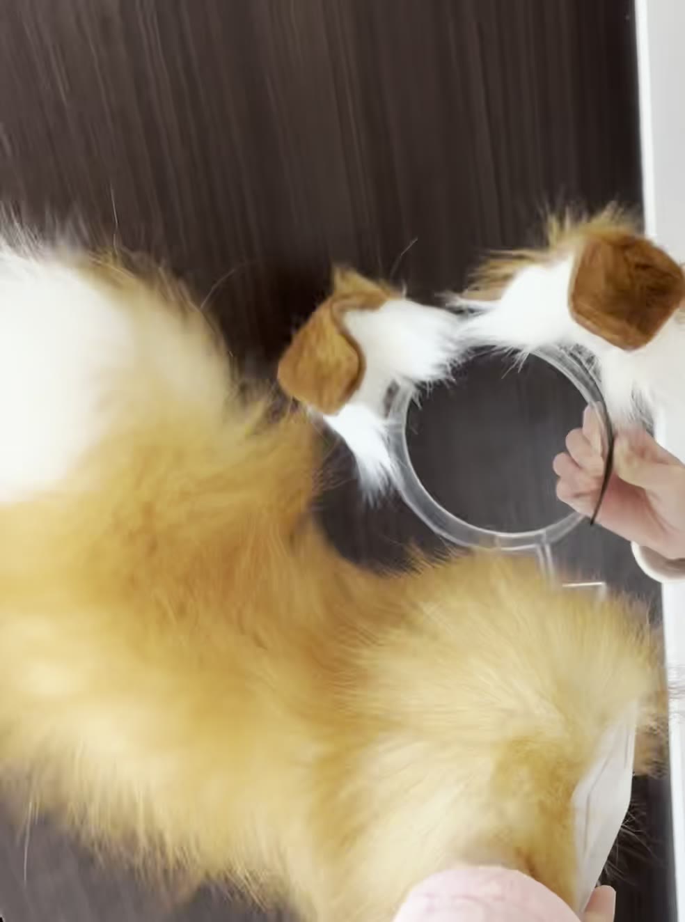 Conjunto de Cosplay de Orelhas e Cauda de Cão Elétrico