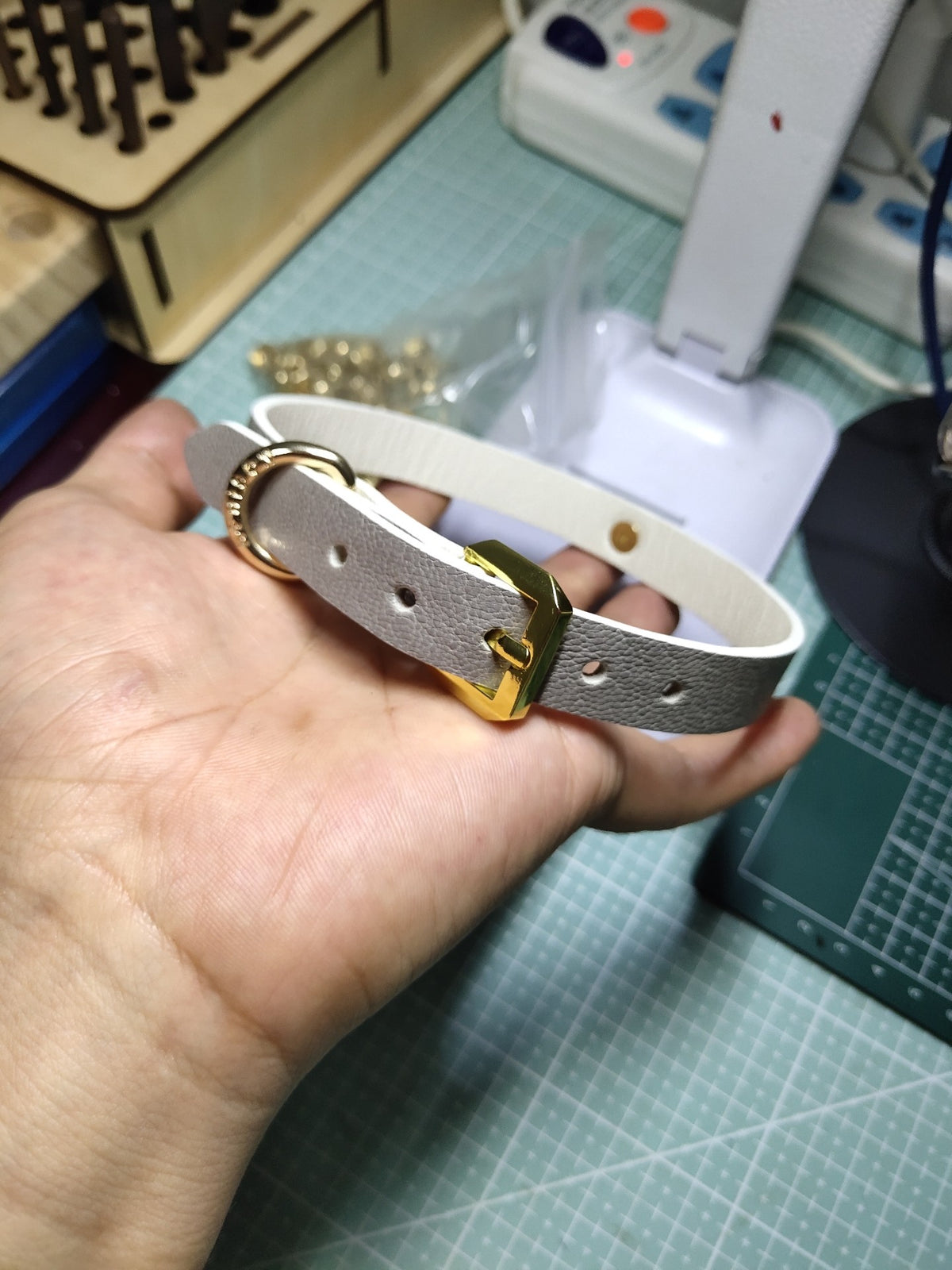 Light Gray Leather Collar Gold Hardware