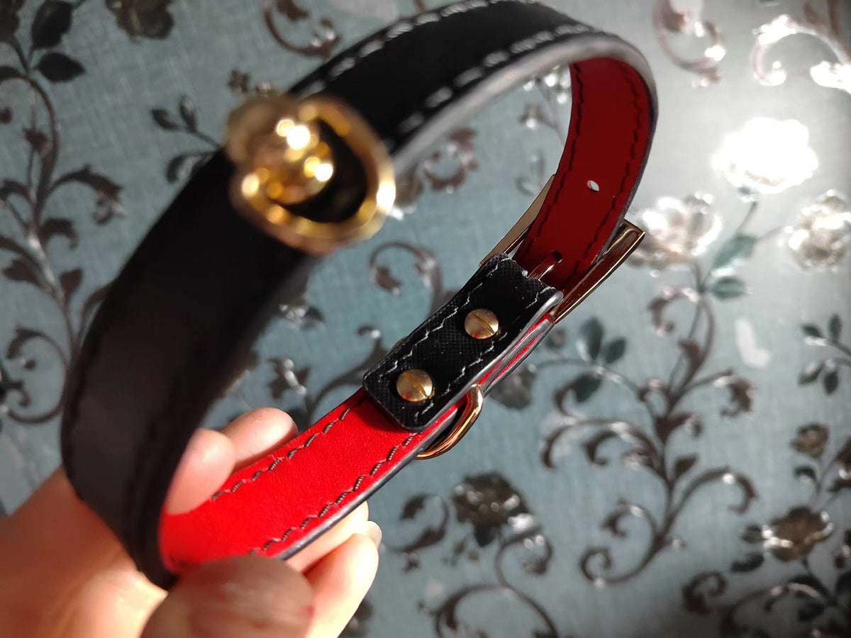 Handcrafted Leather Pet Collar with Bat Wings