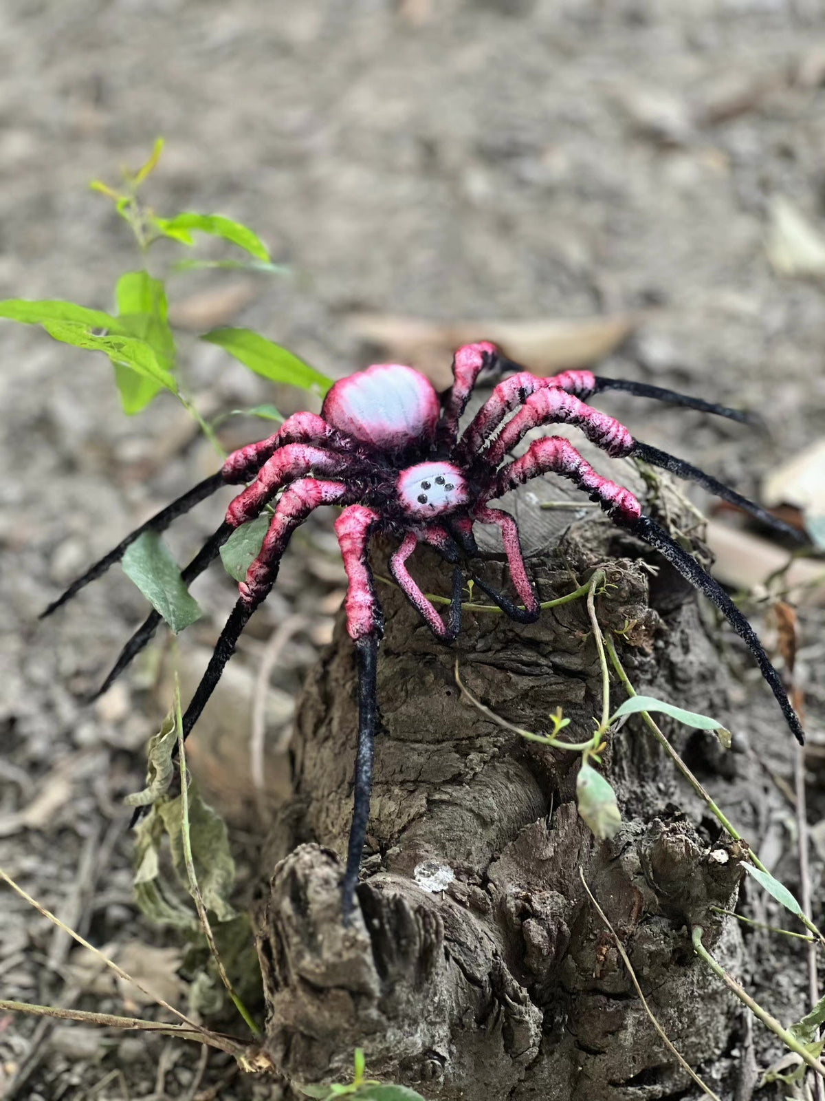 Chenille Stem Plush Spider with Articulated Legs