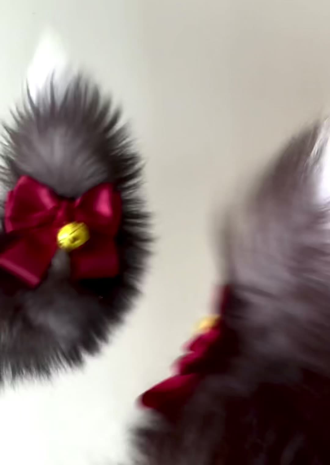 Motorized Fox Fur Cosplay Tail with Red Bow