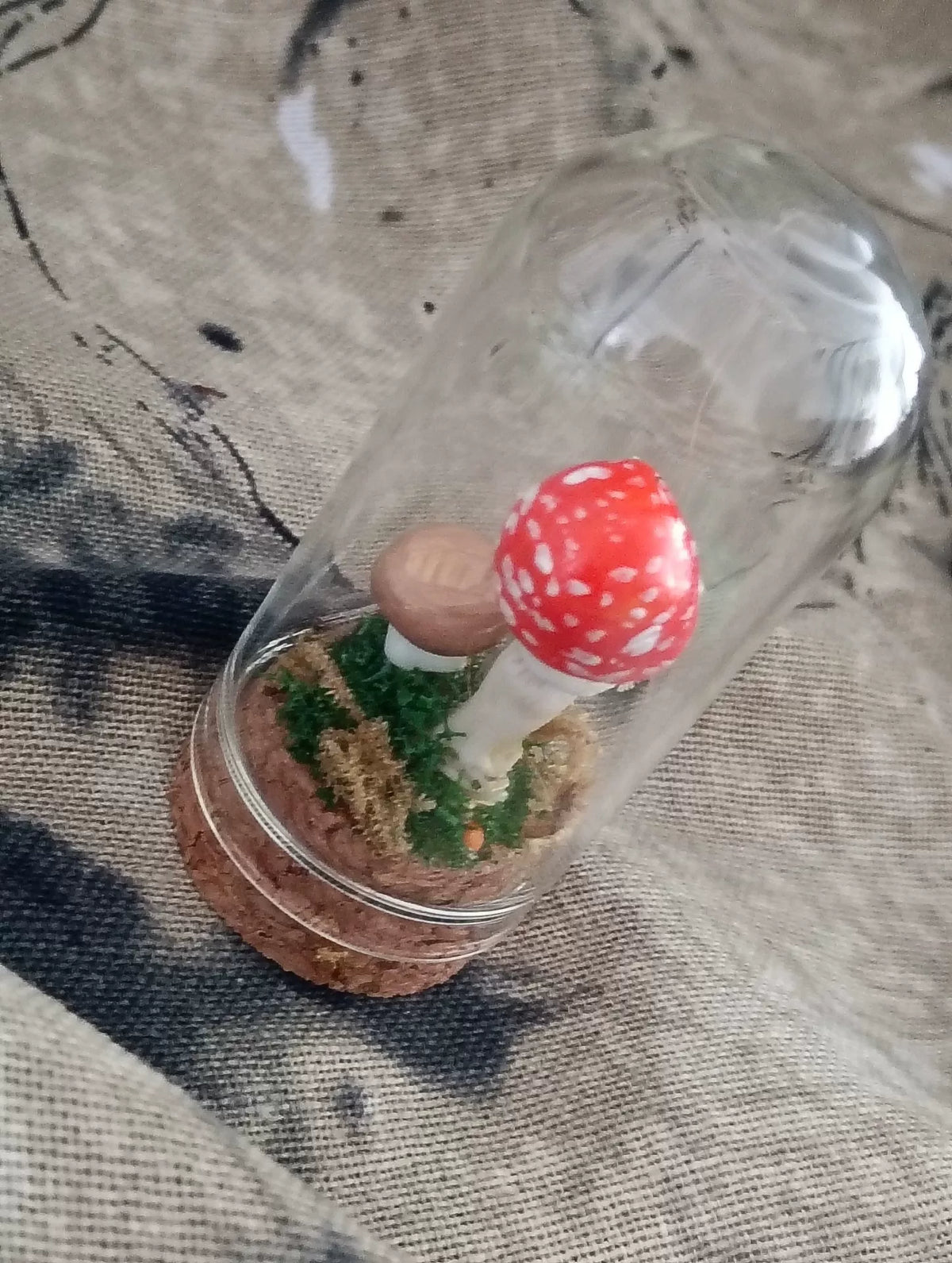 Terrario con funghi fatto a mano in cupola di vetro