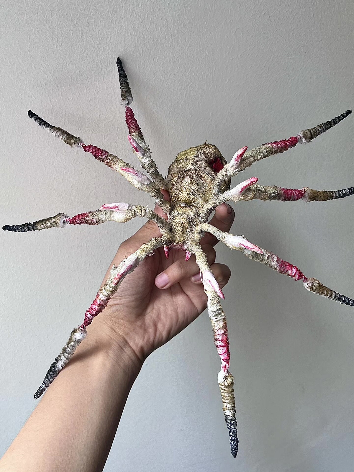 Handcrafted Chenille Stem Spider Dark Fantasy Prop