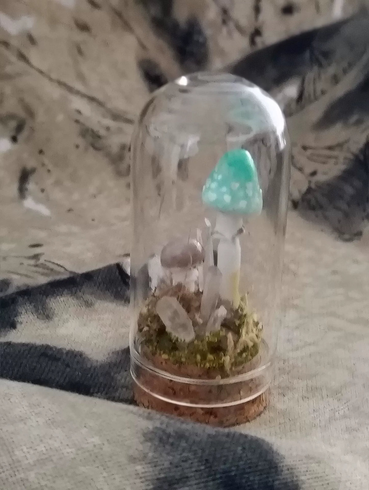 Handgjort svampterrarium i glaskupa