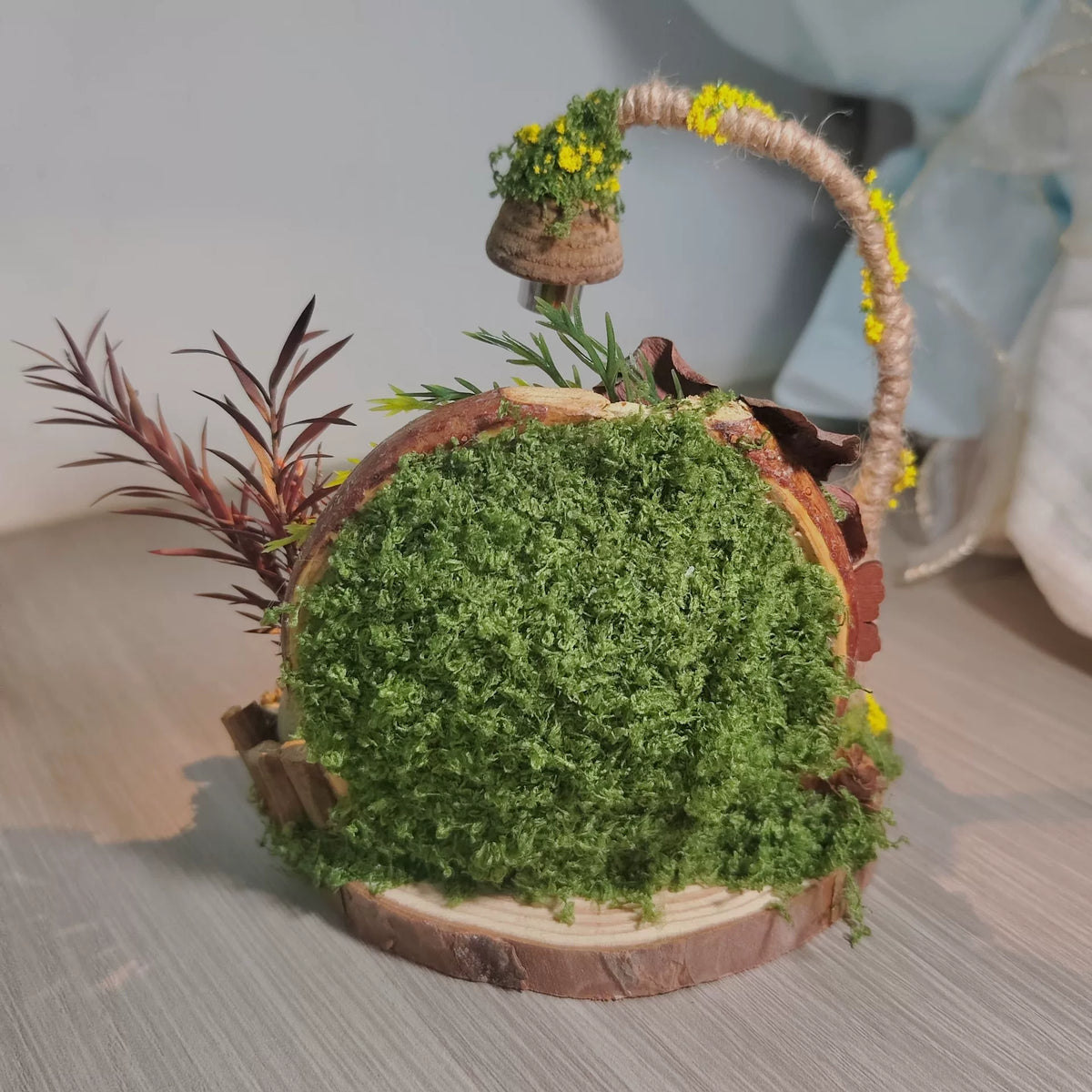 Diorama in Miniiatura di Giardino Incantato in Baccello di Entada