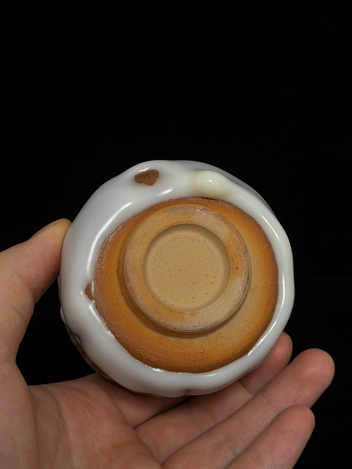 Shino Ware Tea Cup 110ml Handcrafted