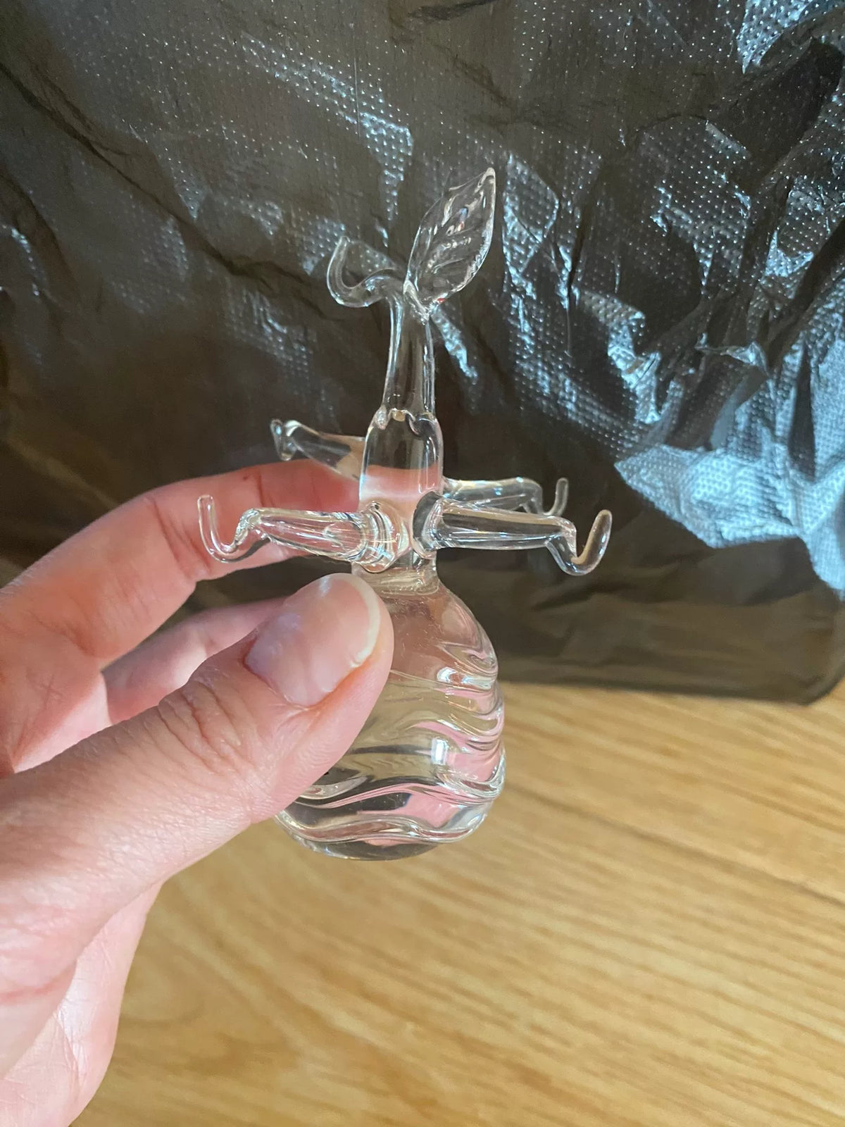 Support à bijoux en verre transparent et feuille