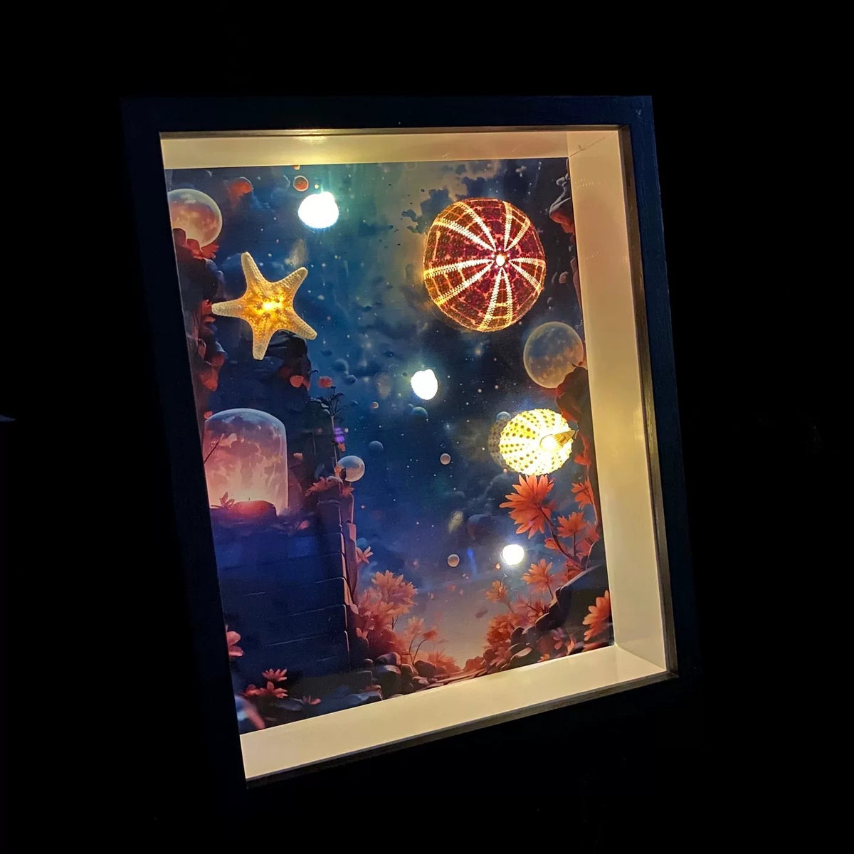 Sea Urchin Lamp Shadow Box Frame