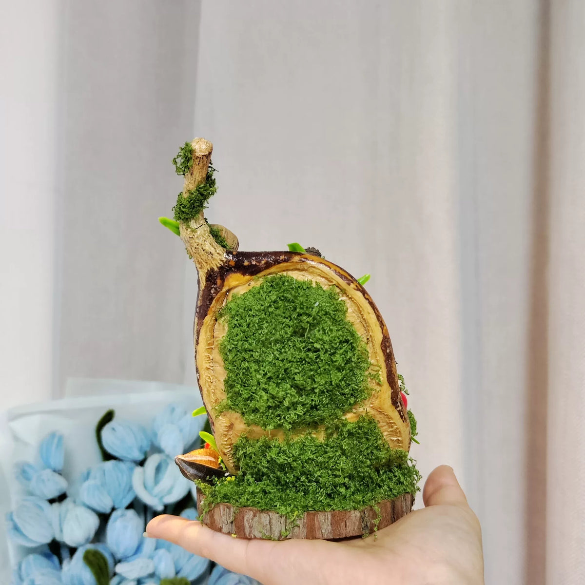 Beuchtetes Entada-Samenschote-Diorama
