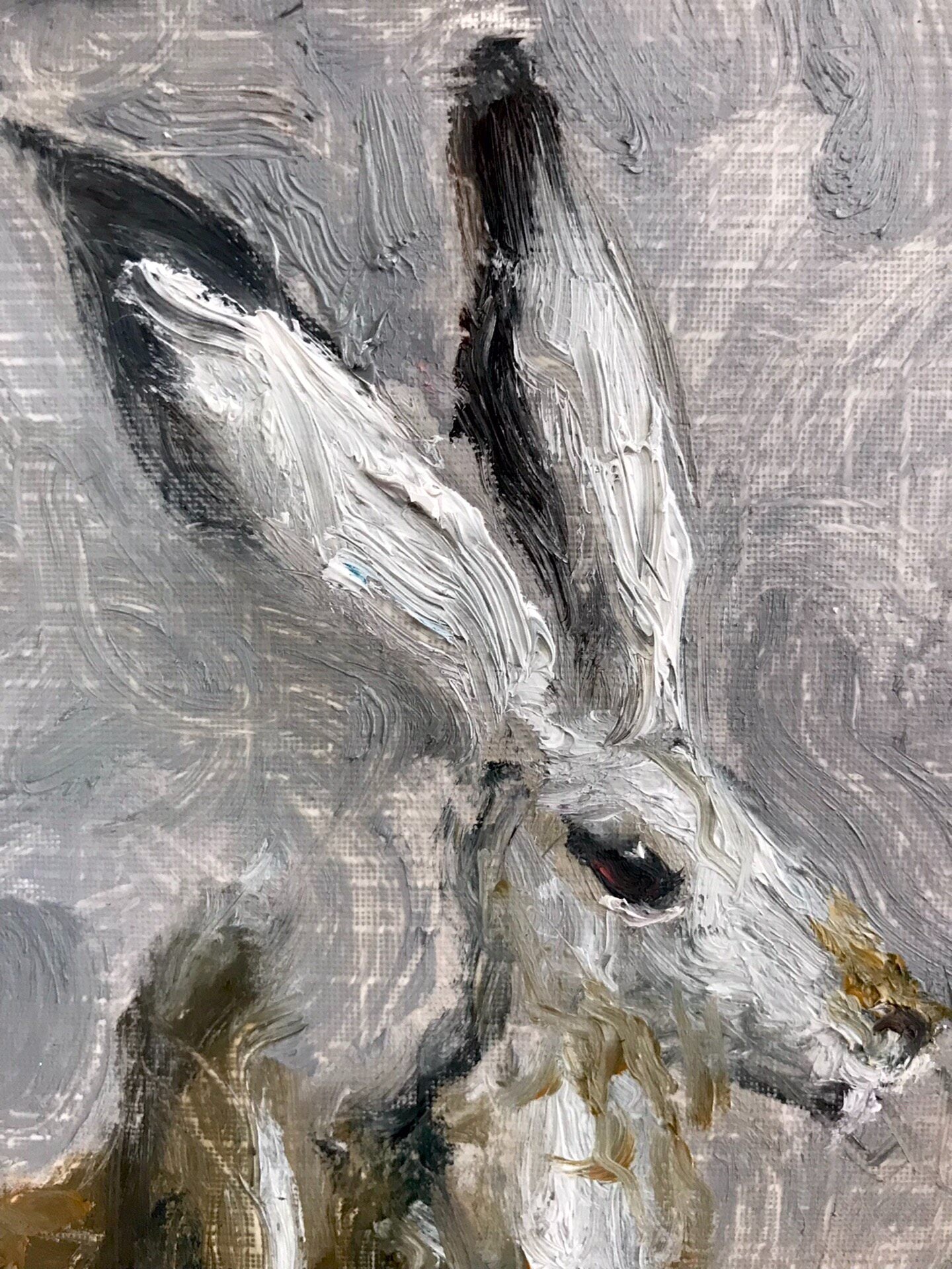 Hand-Painted Rabbit Oil Painting in Wooden Frame