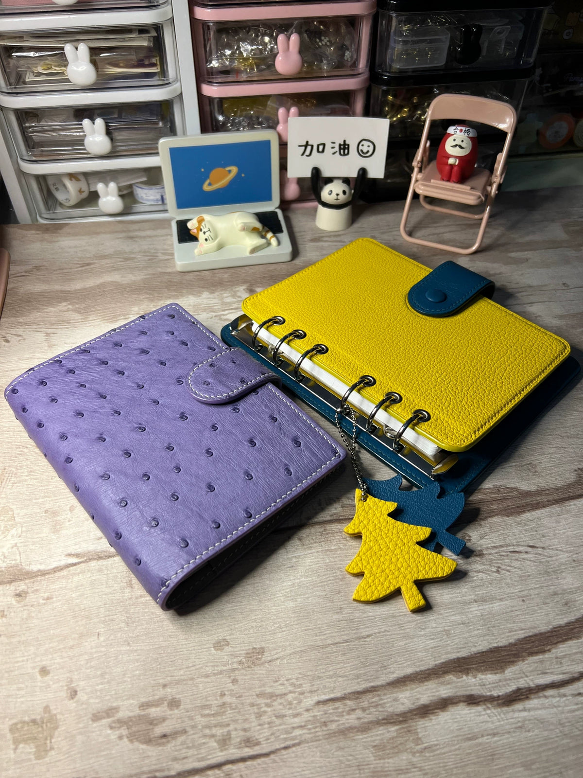 Taccuino e raccaccoglitori A6 in pelle di struzzo viola