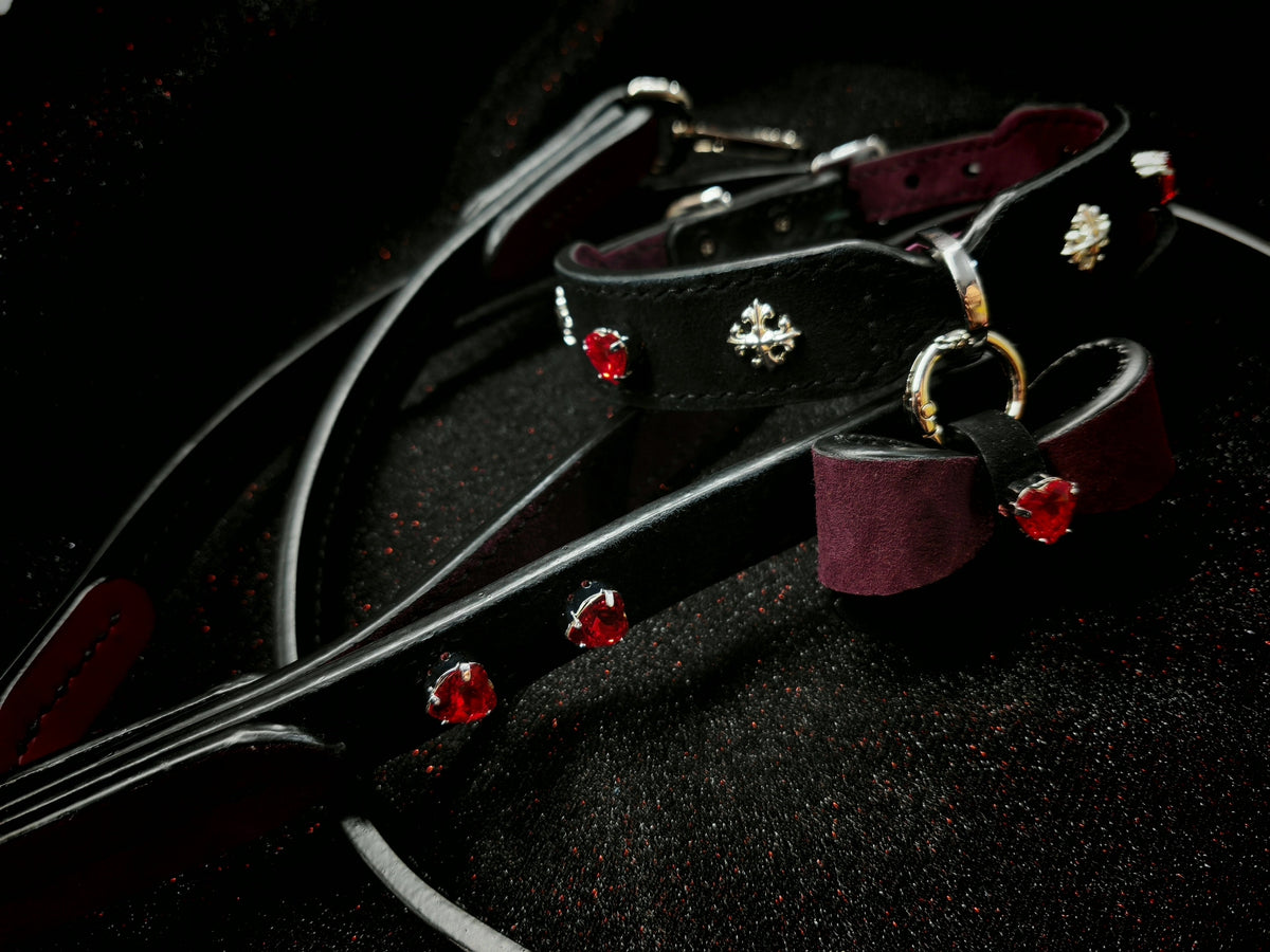 Black Burgundy Leather Dog Collar and Leash Set