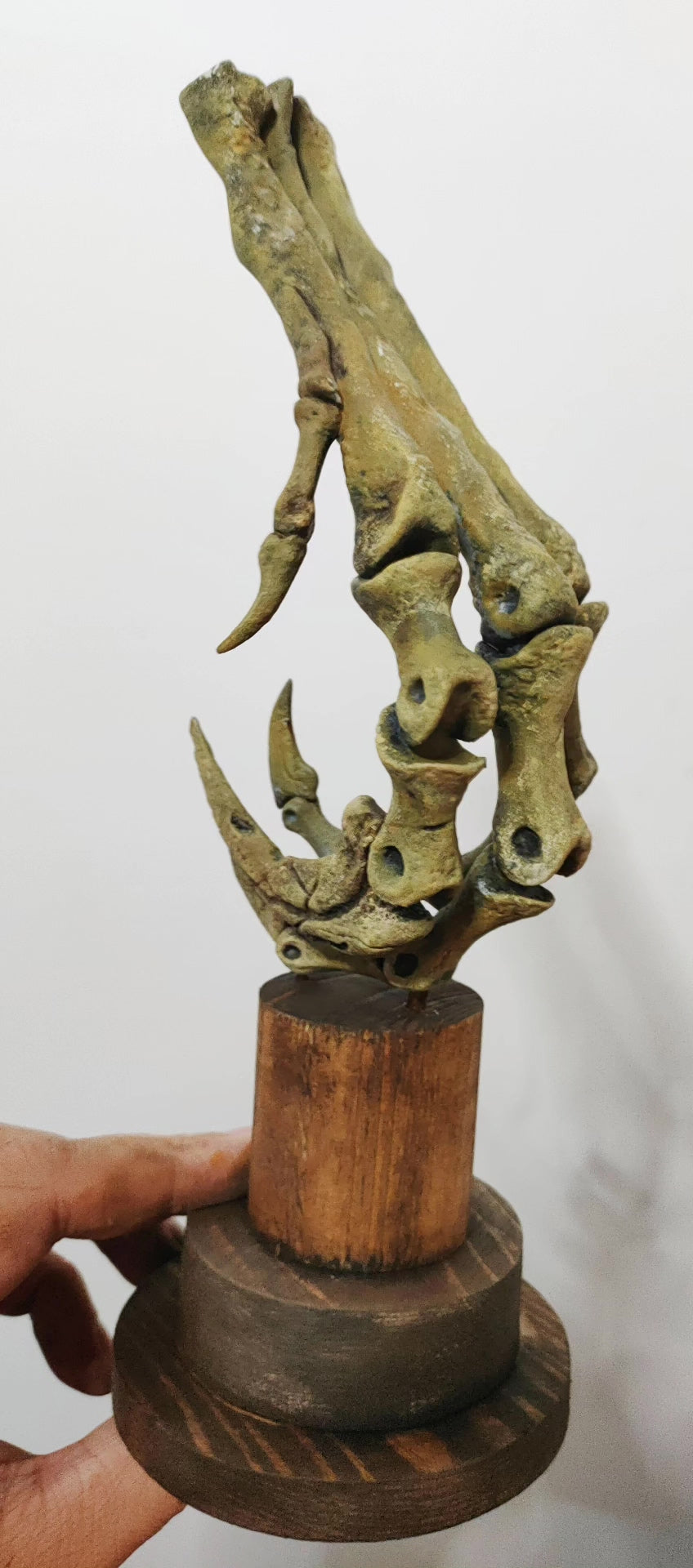 Velociraptor Claw Bone Model Resin