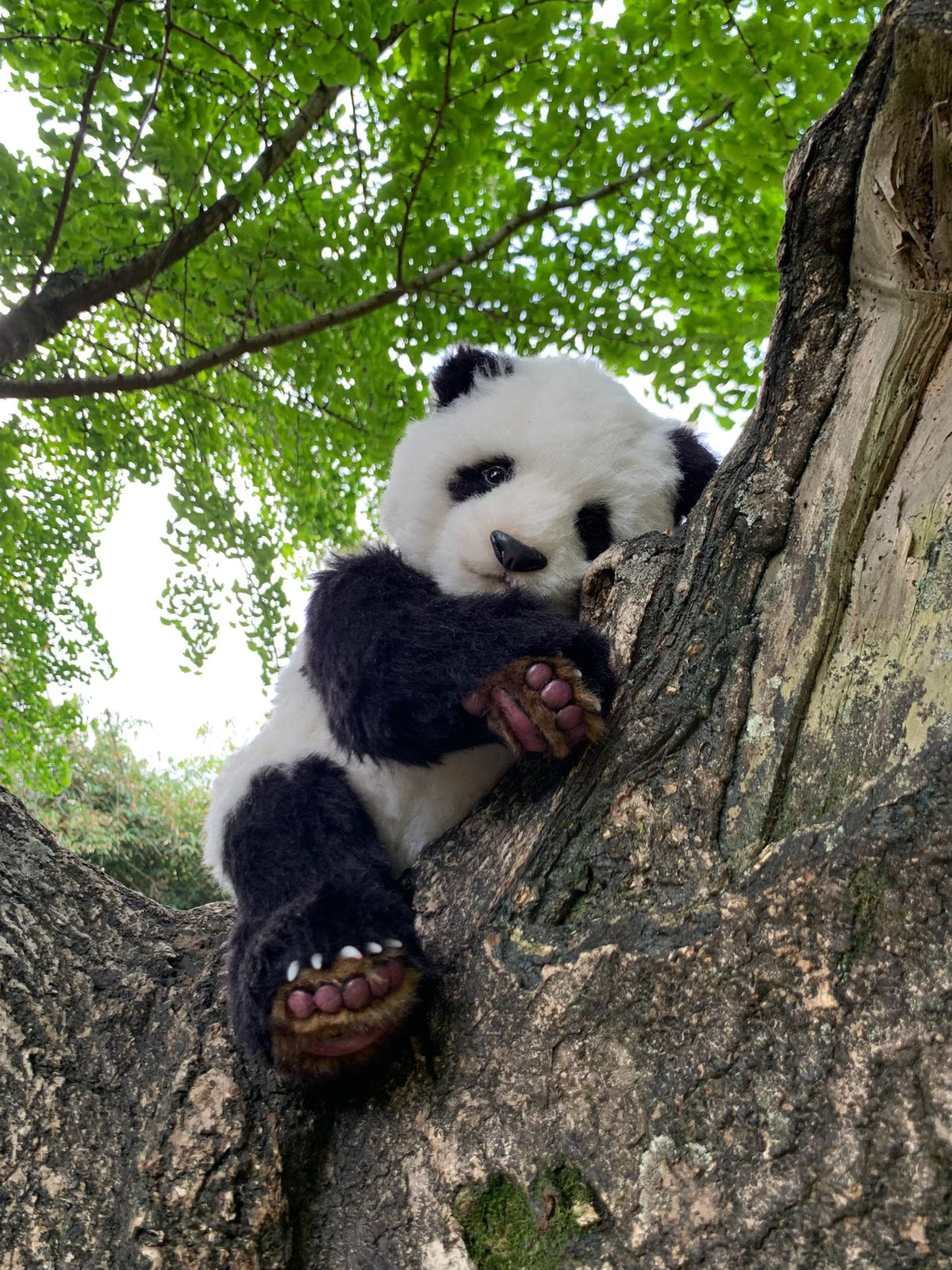 Jointed Alpaca Wool Panda Plush Toy