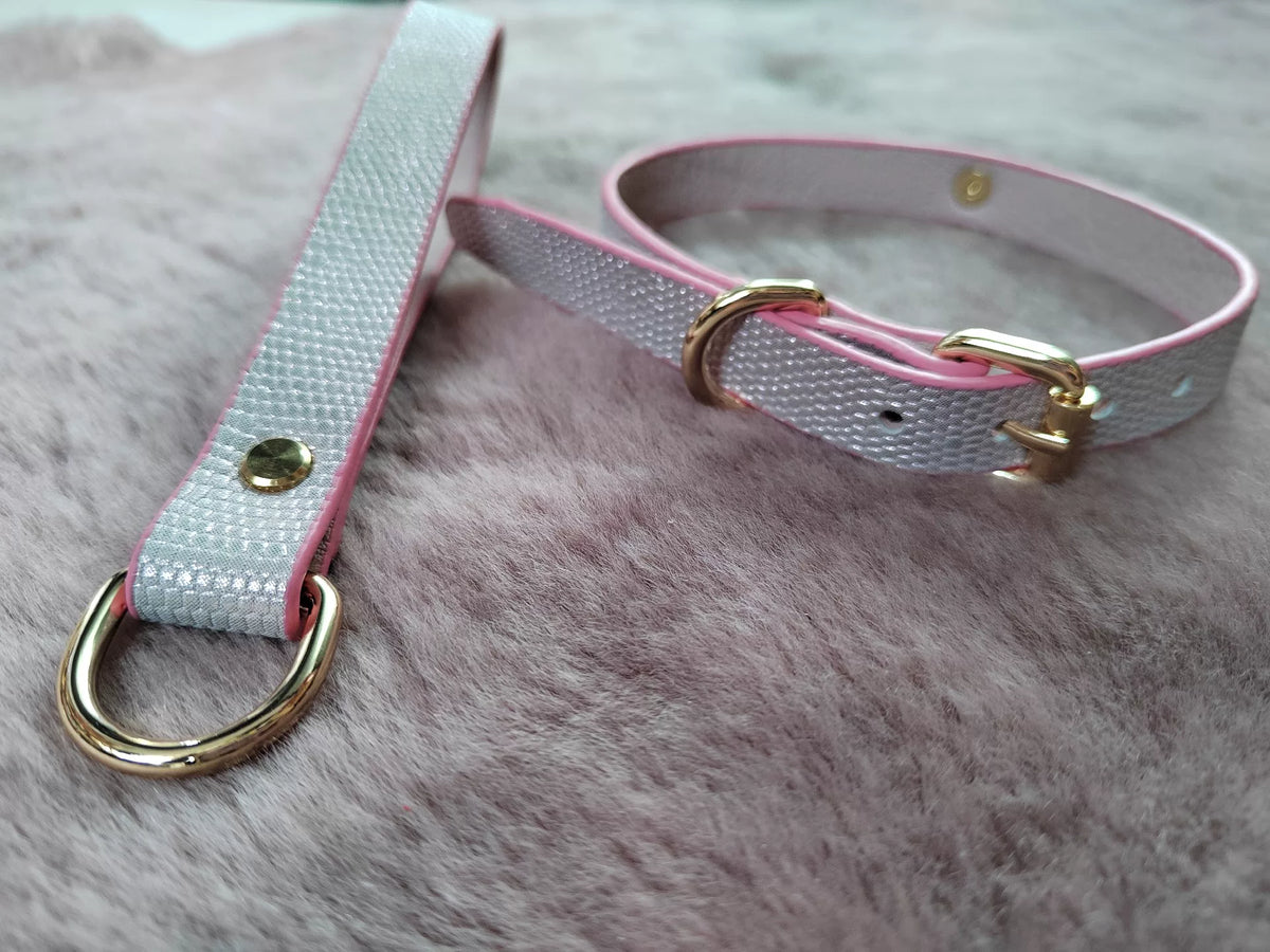 Set collare e choker per animali argento sfumato