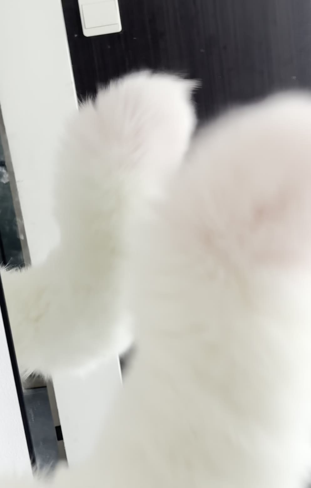 Electric Moving Fox Tail Cosplay Accessory