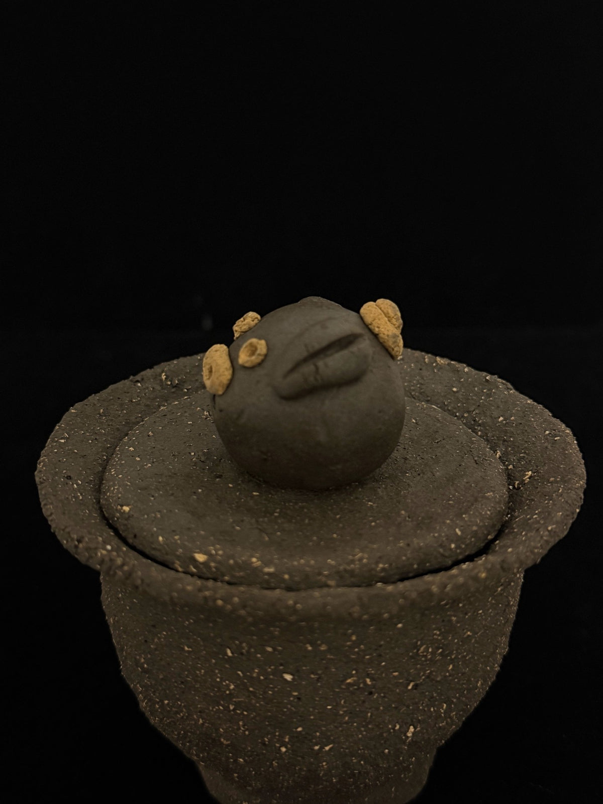 Pig Knob Gaiwan Black Box Glass Mud 120ml
