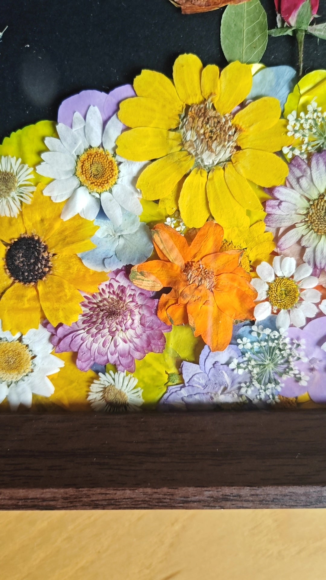 Gepresste Blumenkunst im dunklen Holzrahmen