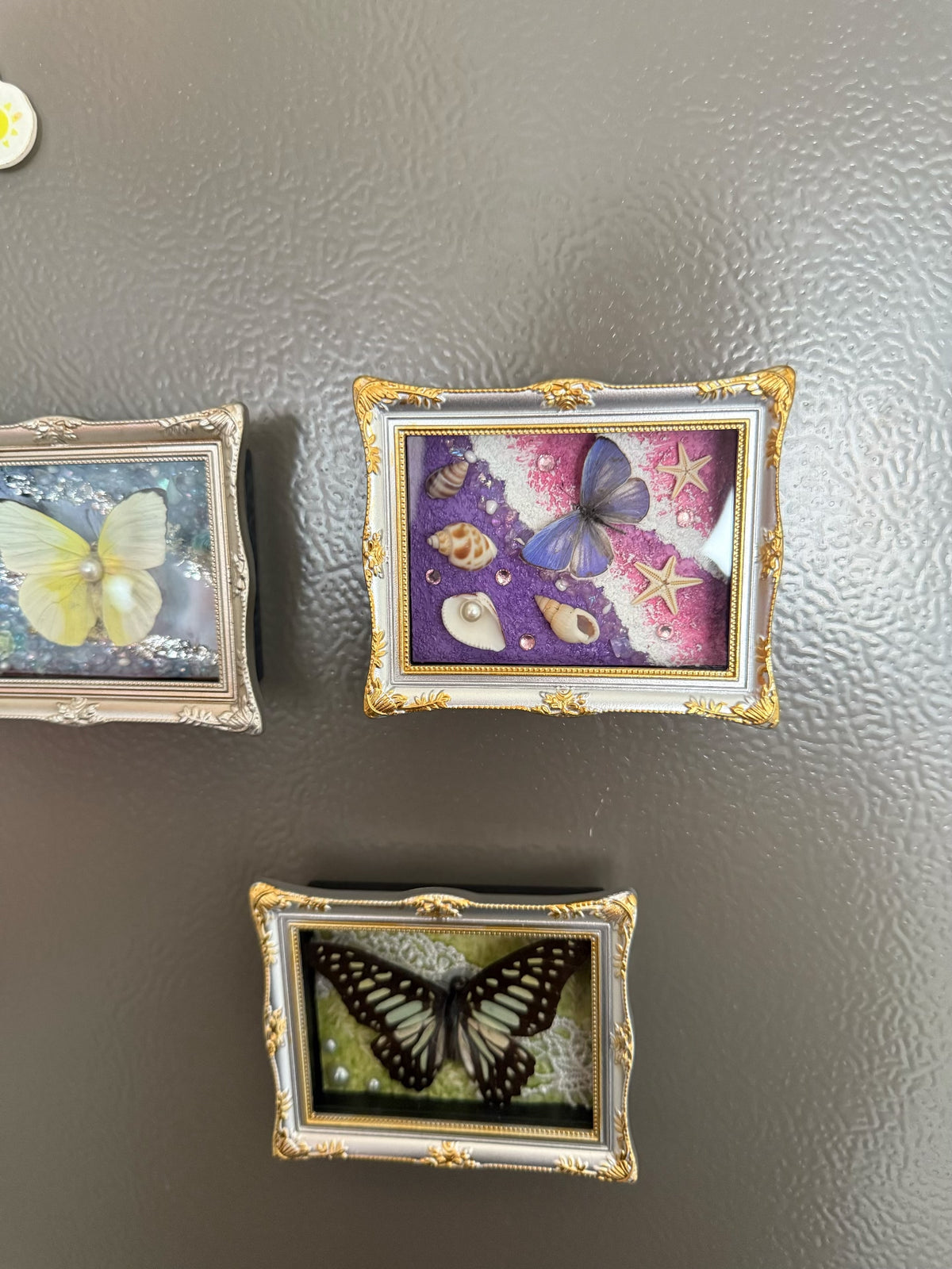 Butterfly Shell Fridge Magnet Silver Gold Frame