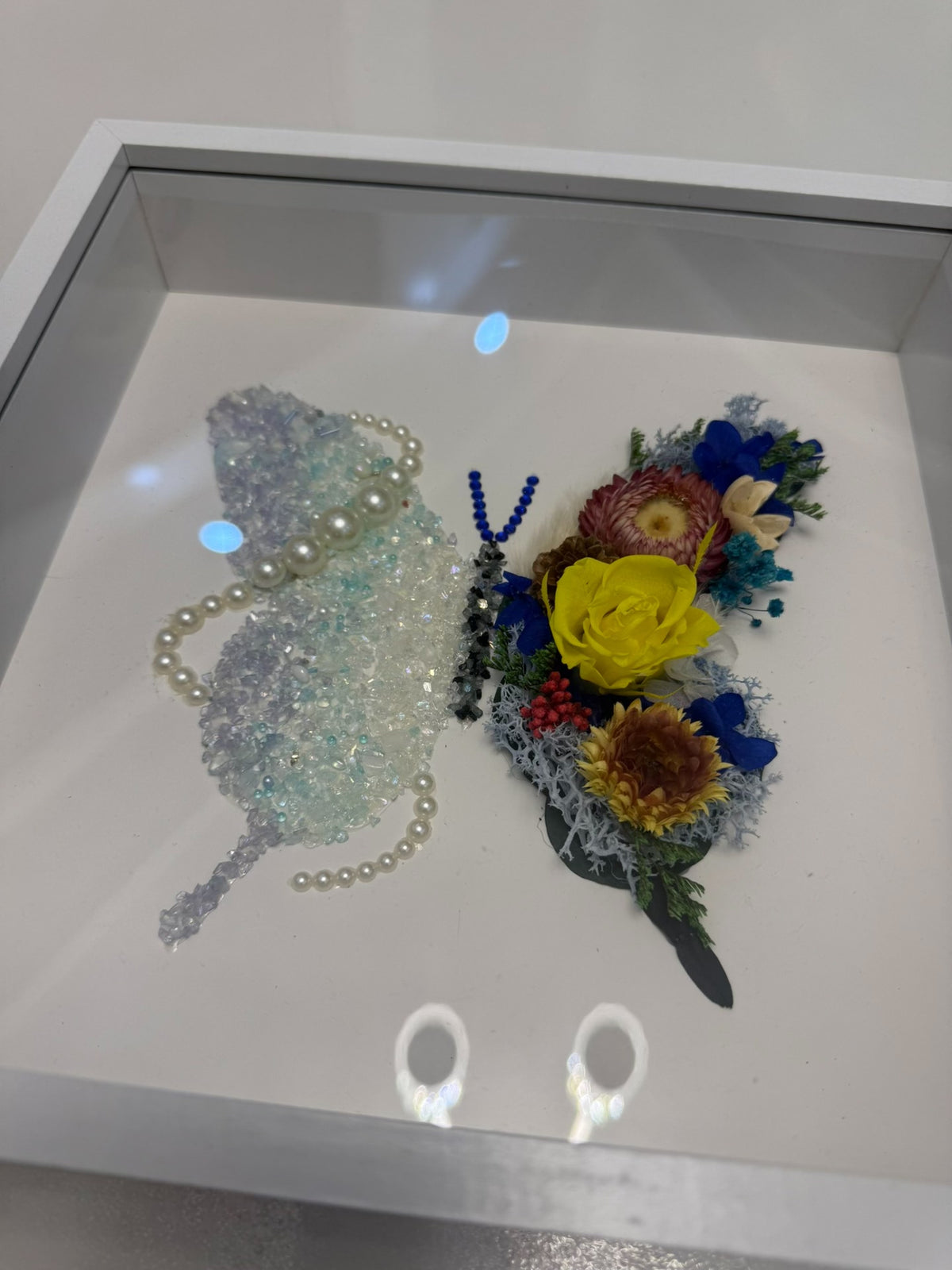 Butterfly Dried Flower Shadow Box Wall Art