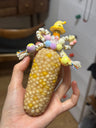 Logo di MellowCornCob