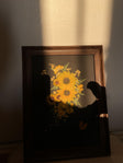 BlossomValeStudio