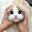 MapleWhisper