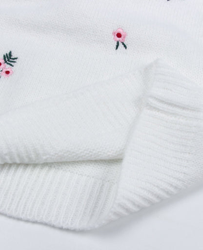 Pull col V magnifiquement brodé