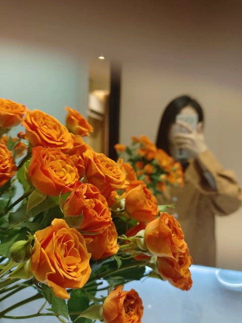 RosetteRiseByNova logotyp