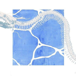 Logo RavenVesper