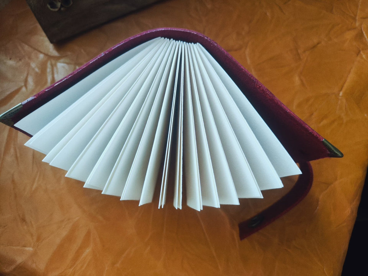 975045126088 - Image 7
