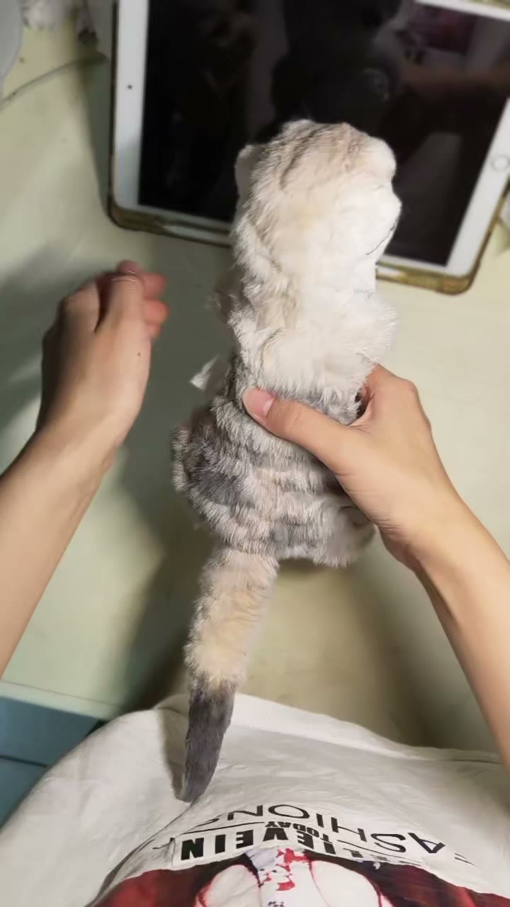 Figurine d'art suricate en fil de chenille fait main