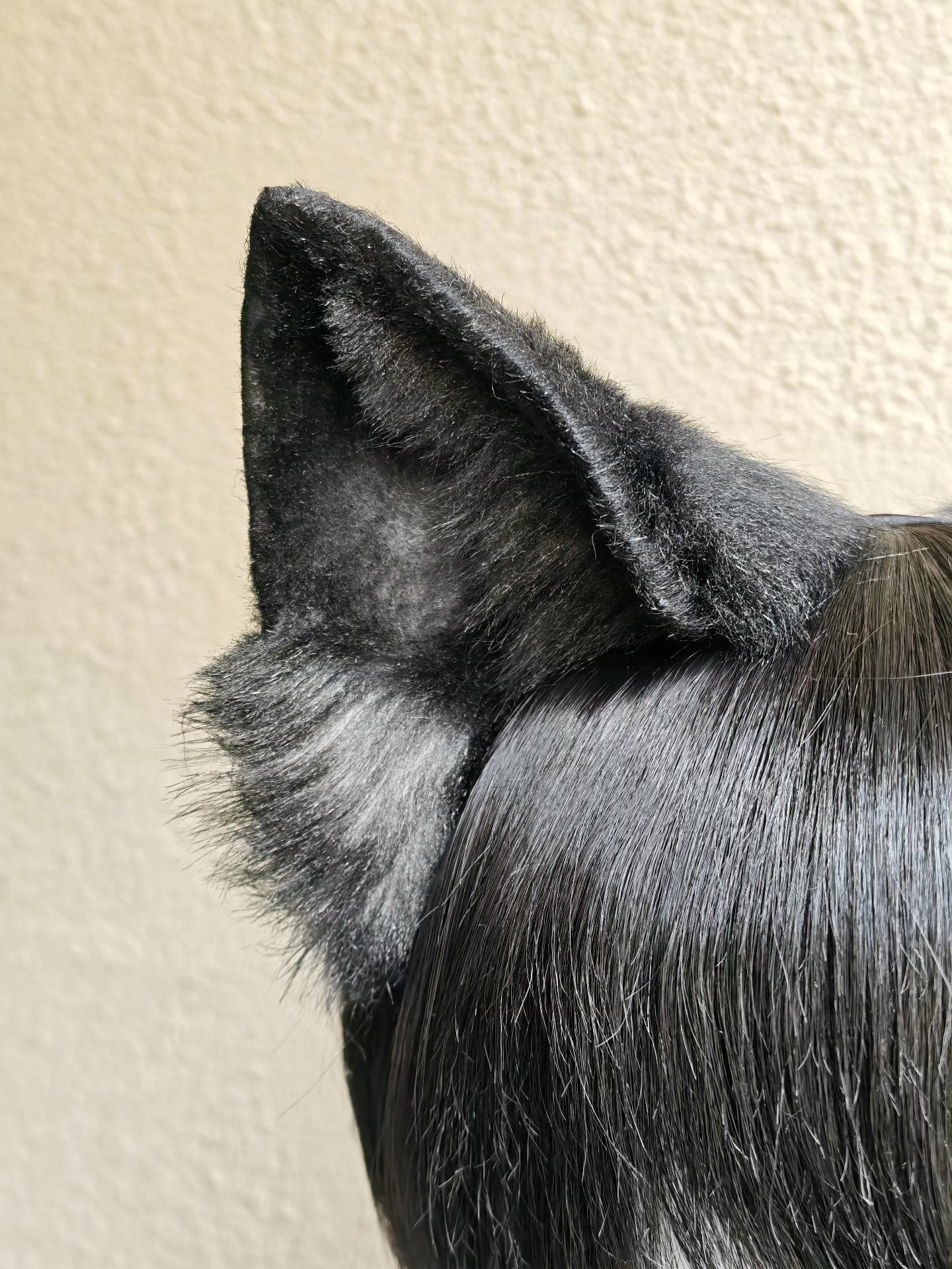 Black and Gray Wolf Ear Headpiece for Cosplay