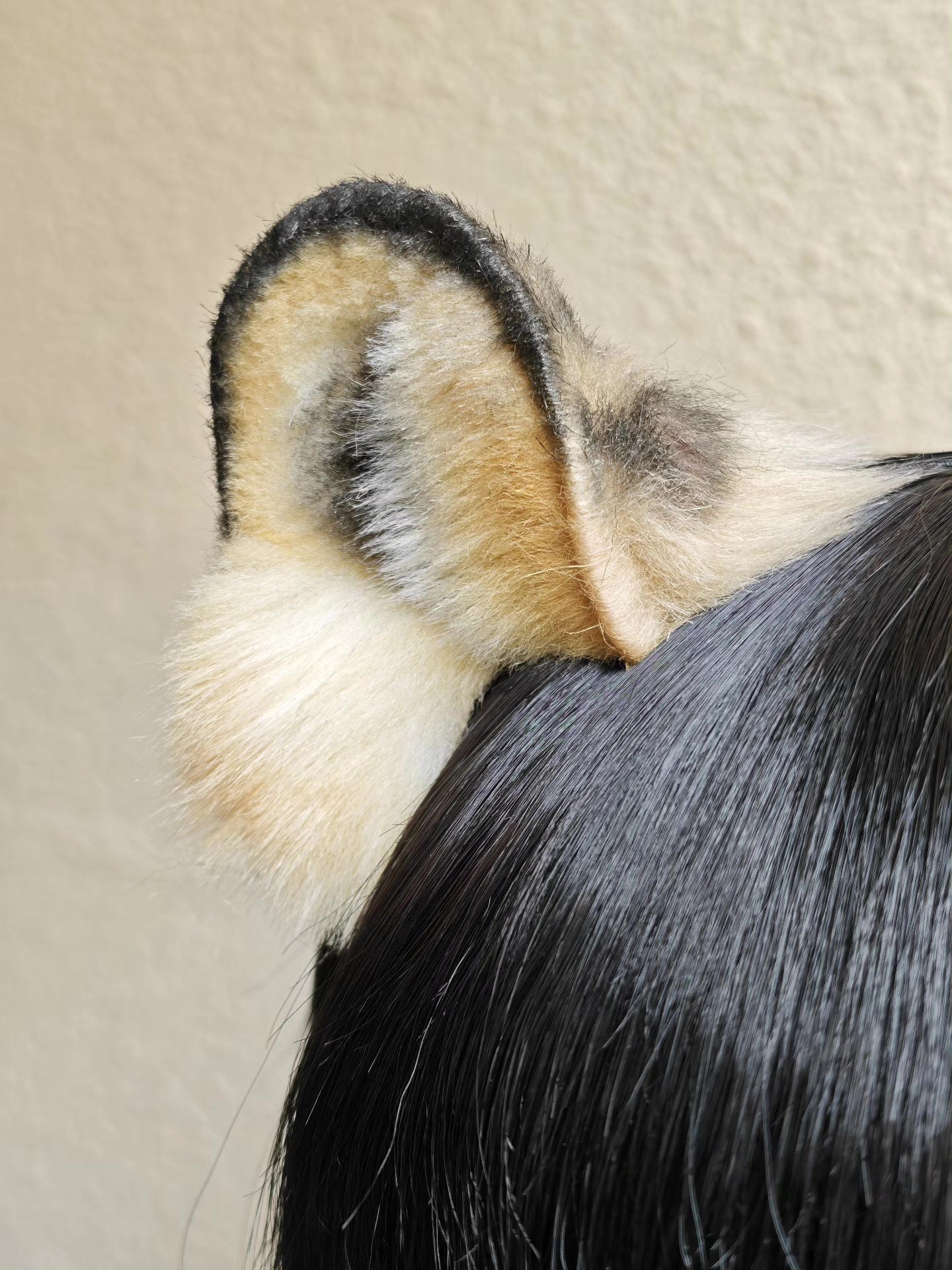 Spotted Leopard Ears Headband