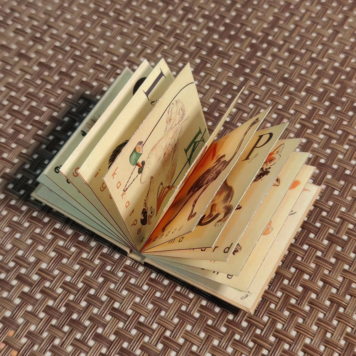 1052444266139 - Image 5