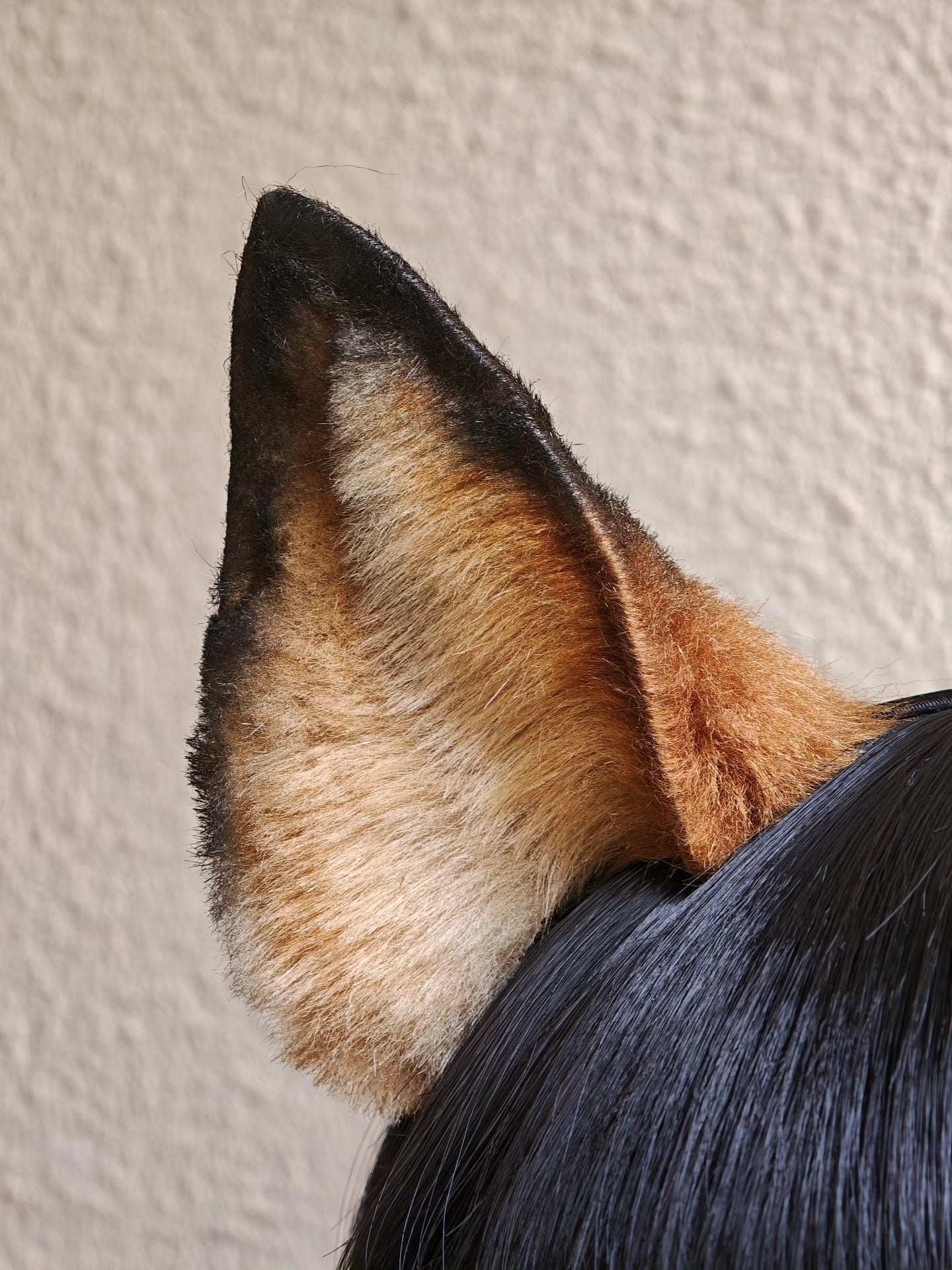 Handmade Red Fox Ears Headband with Gradient Fur and Black Tips