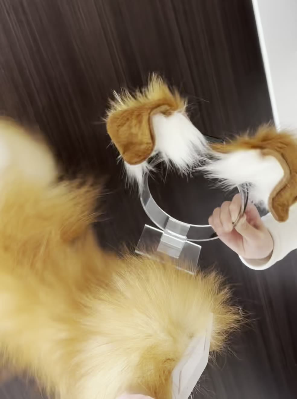 Ensemble de cosplay oreilles et queue de chien électriques