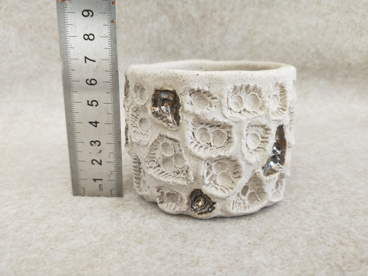 Handcrafted Ceramic Caudex Planter Beige Speckled