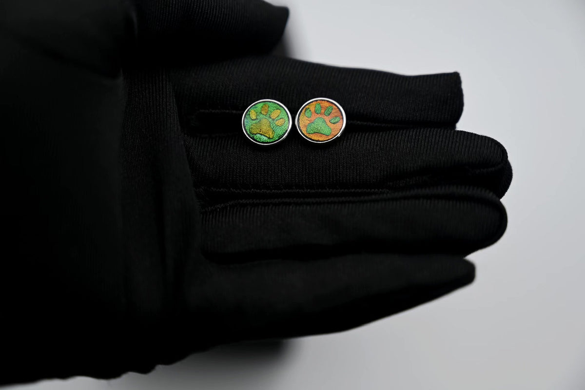 Pure Silver Jewel Beetle Claw Stud Earrings