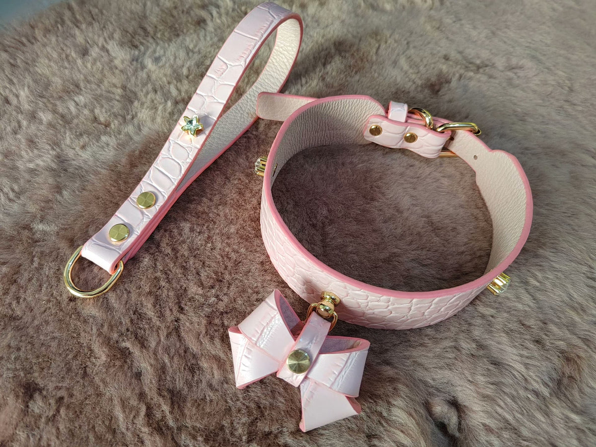 Rosa Fischschuppen Leder Hund Halsband und Leinen Set