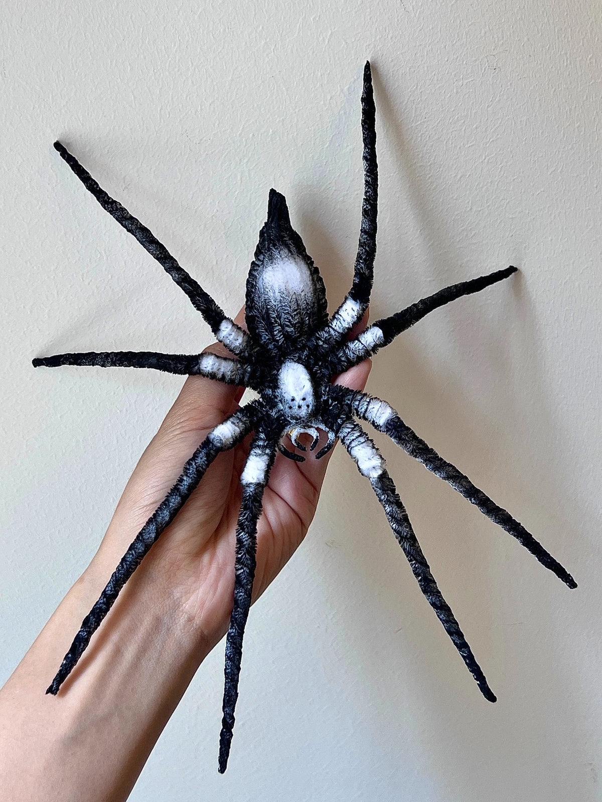 Chenille Stem Spider Figure Black White