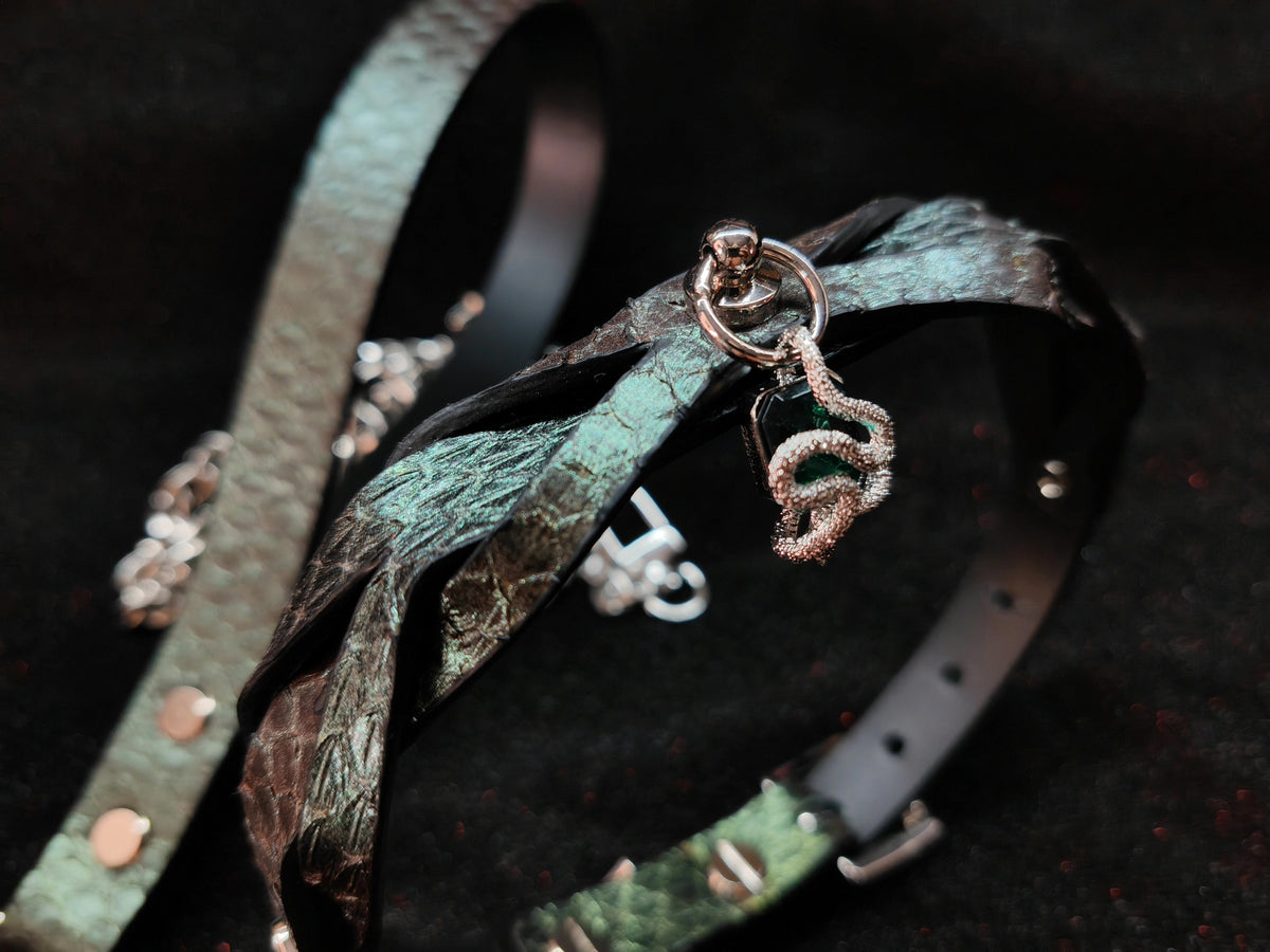 Individuelles Leder-Hethalsband- und Leinen-Set