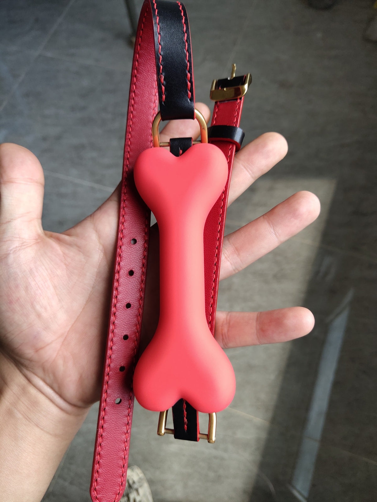 Red Leather Pet Collar with Bone Silicone Gag