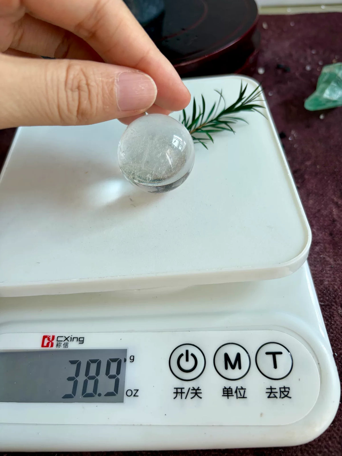Ororno de bonsái de cristal en cuenco de cerámica oscura