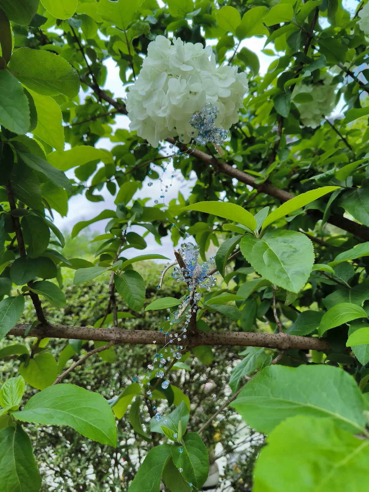 1042861460585 - Image 3