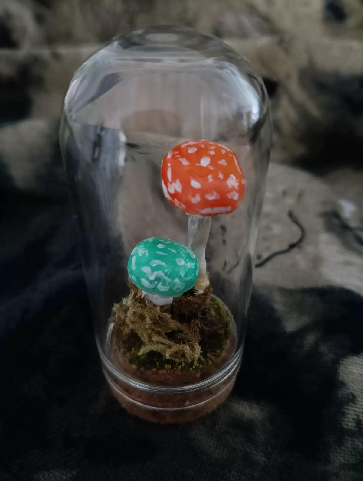 Terrarium de champignons fait main sous cloche de verre