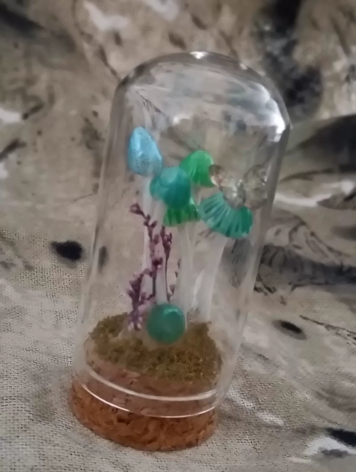 Terrario de setas artesanal en cúpula de cristal