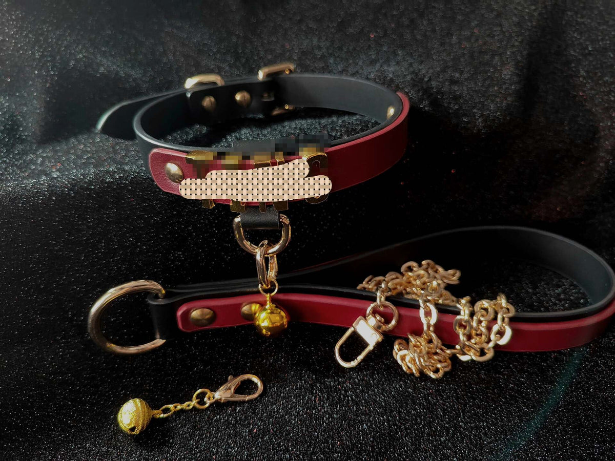 Conjunto de Collar y Correa para Perro de Piel Burdeos