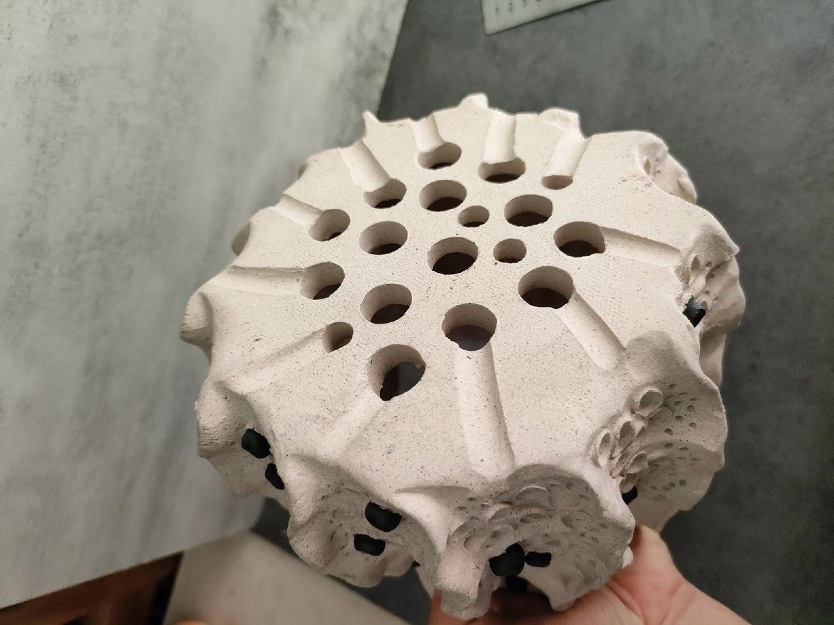 681217465659 - Image 6